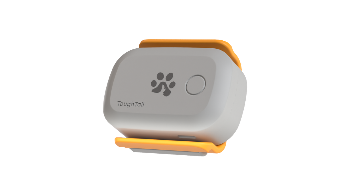 ToughTail Standard Tracker & BaseStation